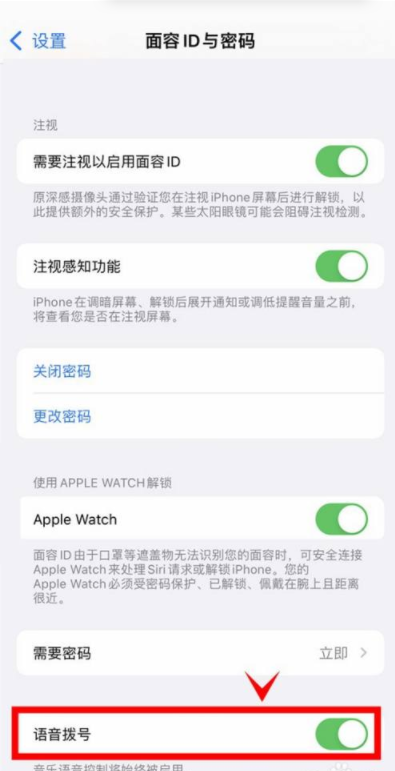 iphone13怎麼開啟語音撥號？iphone13語音撥號功能開啟方法