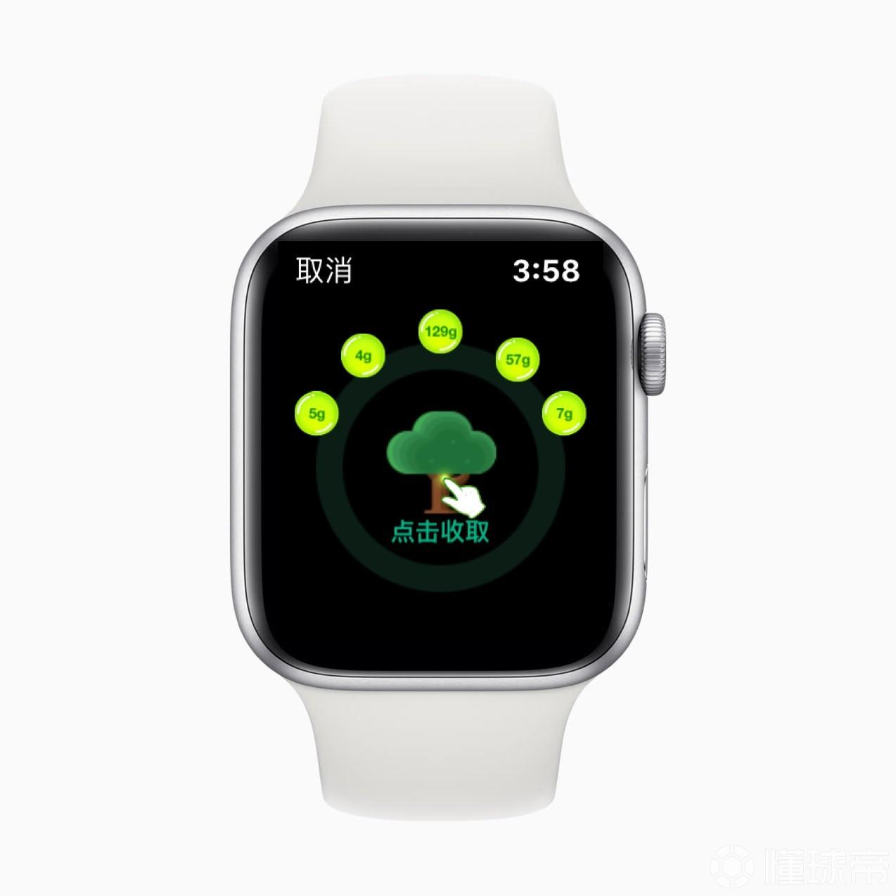 Apple Watch ֧¹ܣһȡɭ 