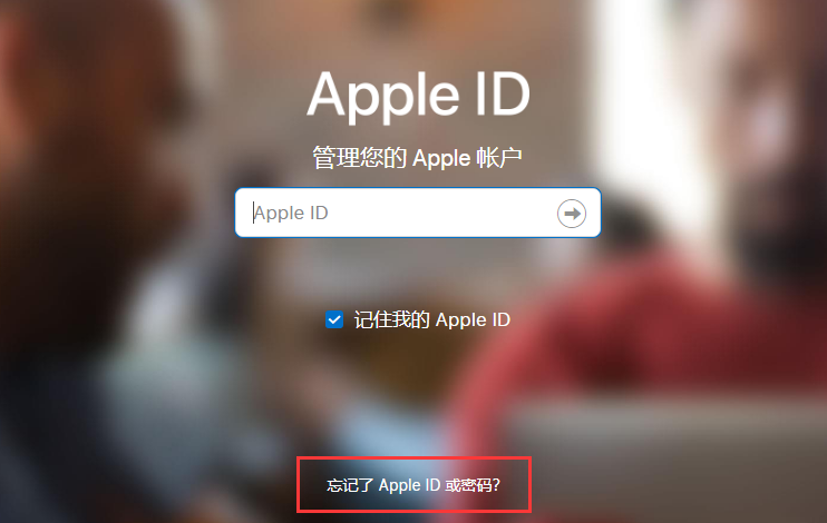  iPhone 12 ϵ¼ Apple ID ʱô죿