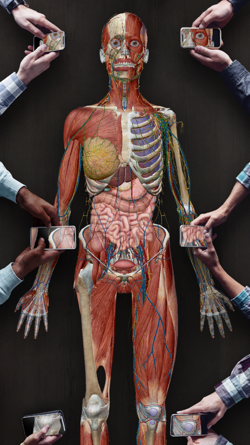 2021人体解剖学图谱app 2021.1.64 手机版