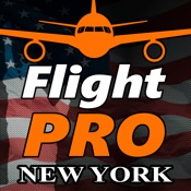 Pro Flight Simulator New York 1.0.5