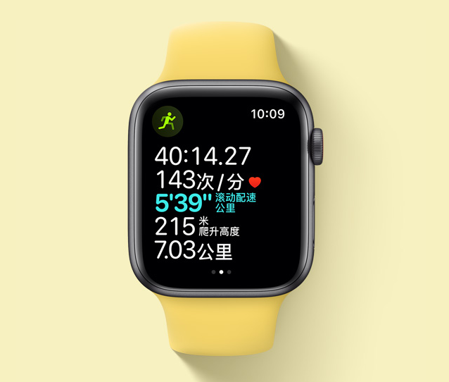 Apple Watch ûֵ˽С