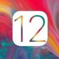 iOS12.5.1ʽļ °