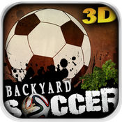 Backyard Soccer3D