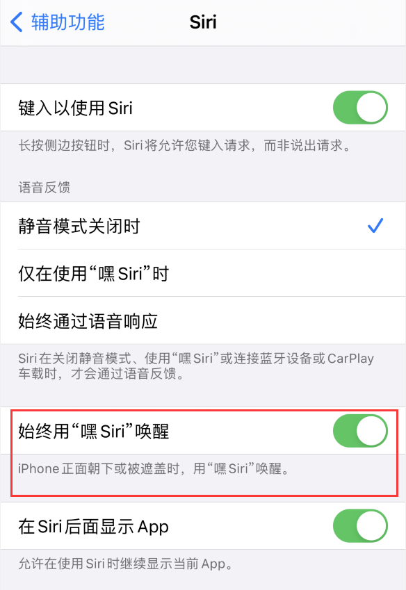 ʹ iPhone 12 ʱ Siri Ӧô죿