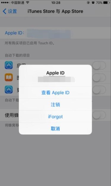 iOS豸ôȡApp StoreӦöģ