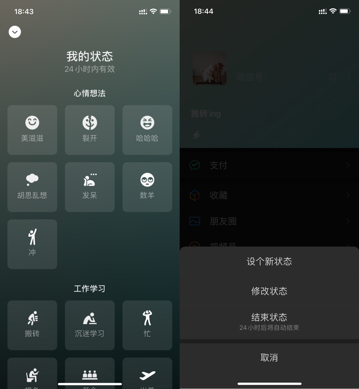 ΢ iOS 8.0.6 ʽ淢״̬ʱЧѡȦתƵ