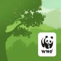 WWF森林app官方下载 v1.0 v1.0