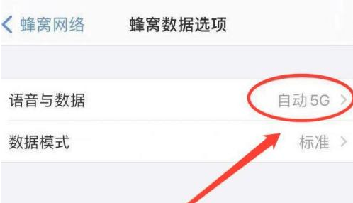 iPhone 13恒定4G設置方法