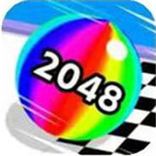 2048 V1.0 ׿