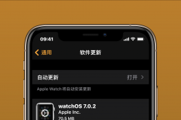 watchOS7.0.2£޸صܸľ