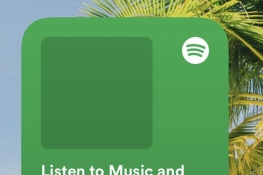 SpotifyBetaпiOS14ССߴ