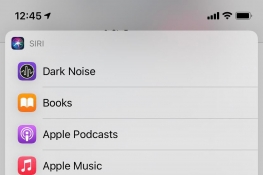 iOS14.5BetaSiriûѡĬ