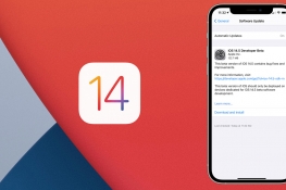 ˽iOS14.5ضȸ谲ȫ