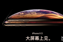 iPhoneXS/XSMaxƳɫ챾