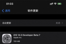 ƻ iOS/iPadOS 14.5 Beta 7շ ݻ()