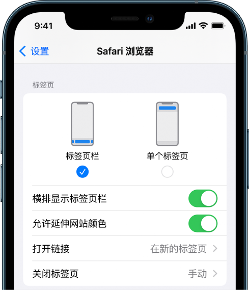 iOS 15 СɣԶ Safari 
