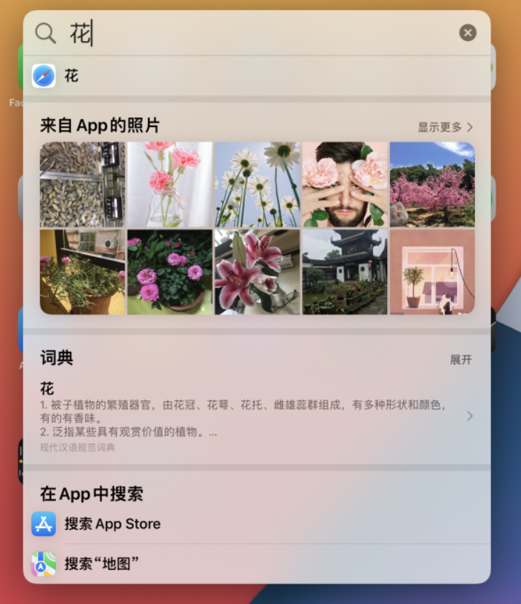 小技巧：iOS 15 聚焦功能支持搜索圖片