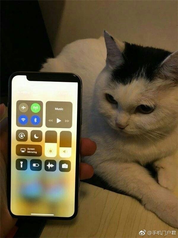 iPhone Xbug èһֻ