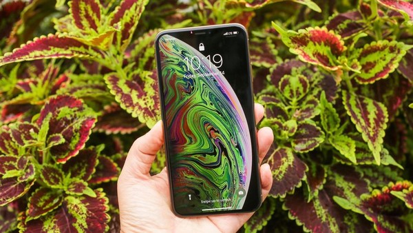 ͼƬΪiPhone XS Max