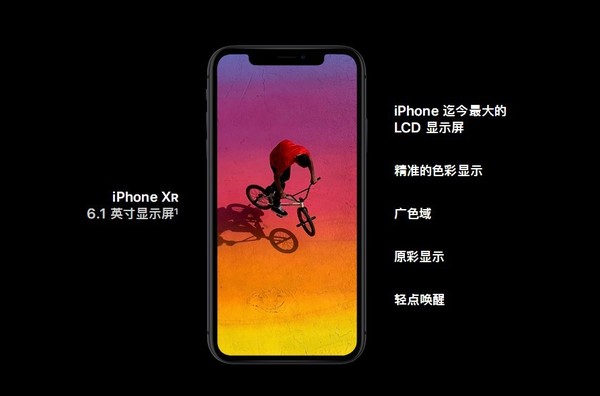 iPhone XR