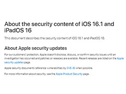 ƻ iOS 16.1/ iPadOS 16.1 ʽ޲ 0 day ©