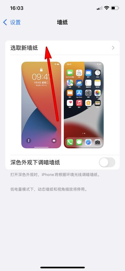 iphone13pro手機如何更換墻紙?iphone13pro更換主題壁紙的方法