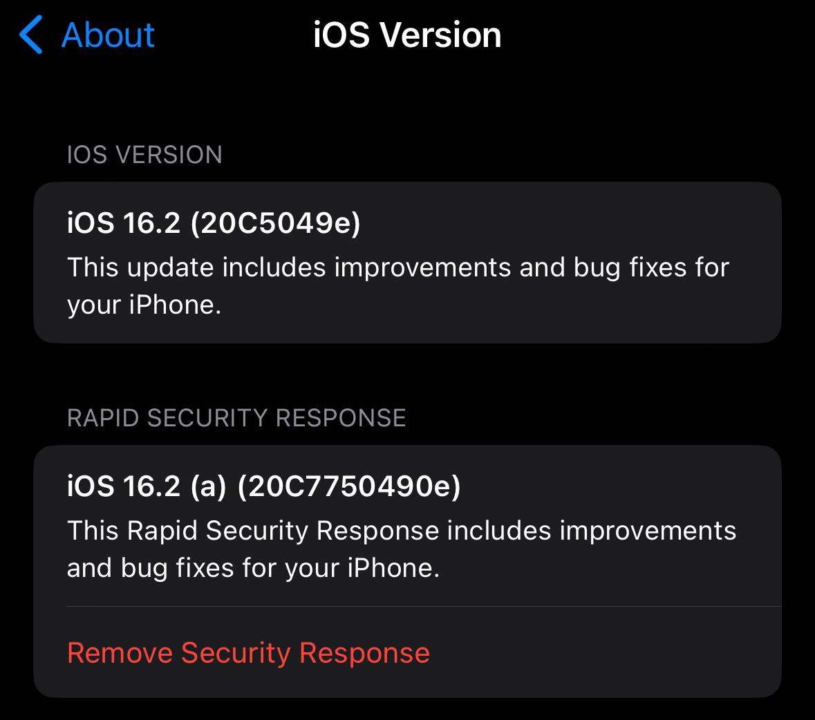 ƻٰȫӦ£ڸ iOS 16.2 Beta 豸