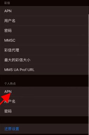 蘋果手機apn怎麼設置 蘋果手機apn功能在哪裡