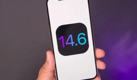 ios14.6rc2ô