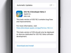 ƻ iOS / iPadOS 16.3  Beta 2 