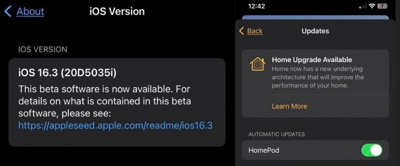 ƻ iOS 16.3 Beta 2  Home ¼ܹ
