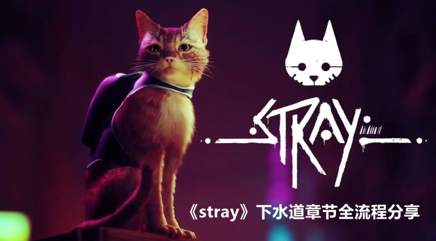 strayˮ½ȫ̷