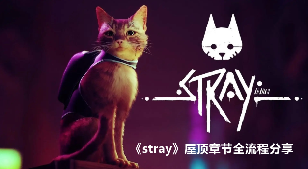 strayݶ½ȫ̷