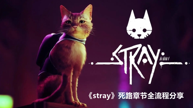 stray·½ȫ̷