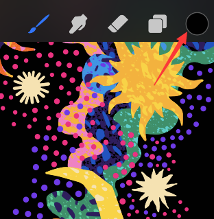 procreate pocketɫ