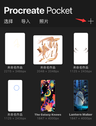 procreate pocket½