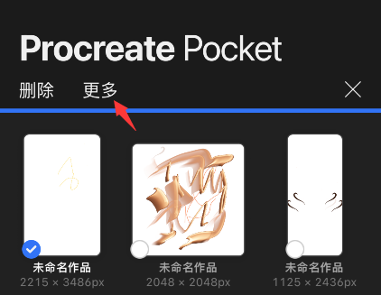 procreate pocketԤͼƬ