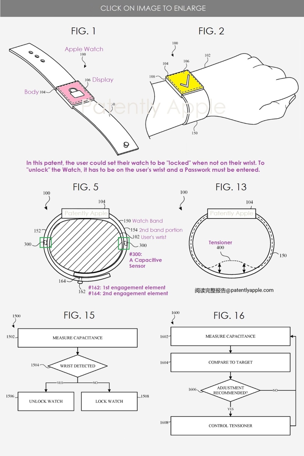 ƻ Apple Watch רԲͬɽ