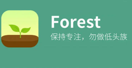 forestרעɭɾǩ ɾǩһ 1