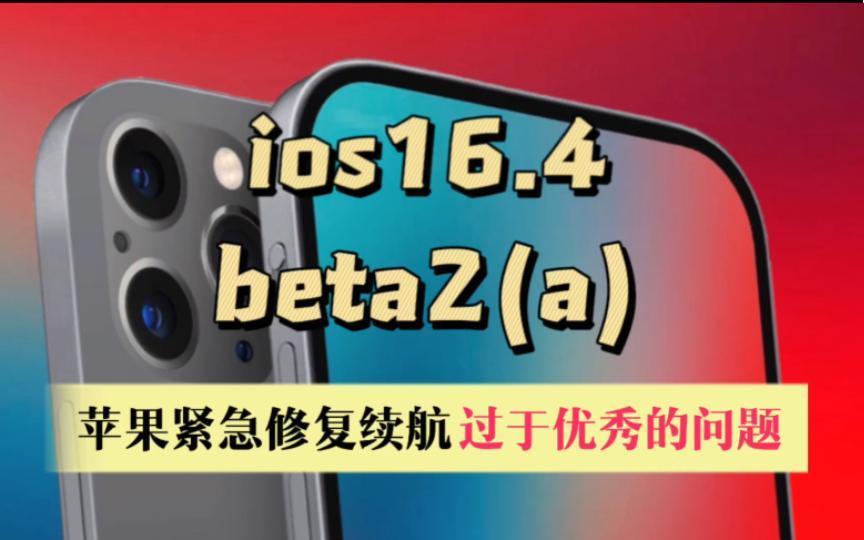 ƻiOS16.4.1⵽²ۣˮAPPʾ쳣