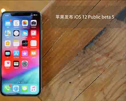 iOS 12 Publice Beta 5 ±仯 | iOS 12 ԰Щݣ