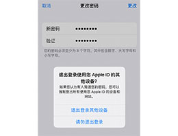 忘记 Apple ID 密码怎么办？如何在 iPhone 14 上重设密码？