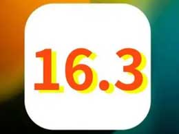 iOS 16.3iOS 16.3ܽ
