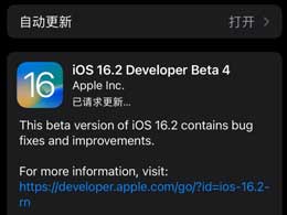 iOS16.2beta4ݼ