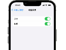iPhone 14 ϵлο򴥸з
