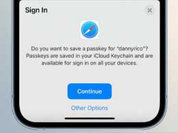 iOS 16 ʹ Passkeys ʵ뷽̳