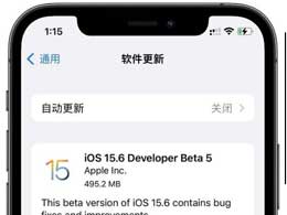 iOS 15.6beta 5ݼ