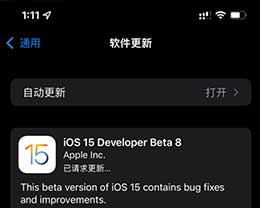iOS15 beta 8ݼ̳