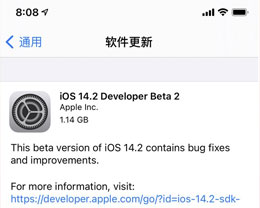 iOS 14.2 beta 2޸ЩbugiOS 14.2 beta 2ʹ÷